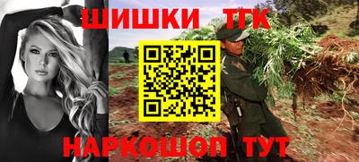 индика Кингисепп
